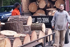 firewood-thumbnail-a3-3