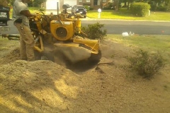 poquoson-tree-service-pic030-1
