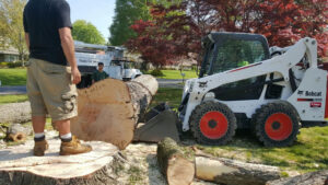 Storm Damage Repair & Debris Removal