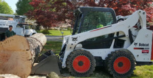 Tree Pruning