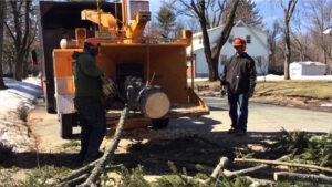 Tree Preservation