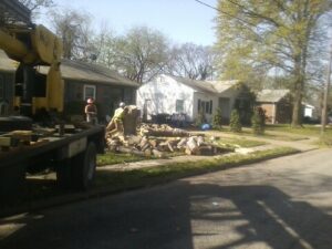 Tree & Removal