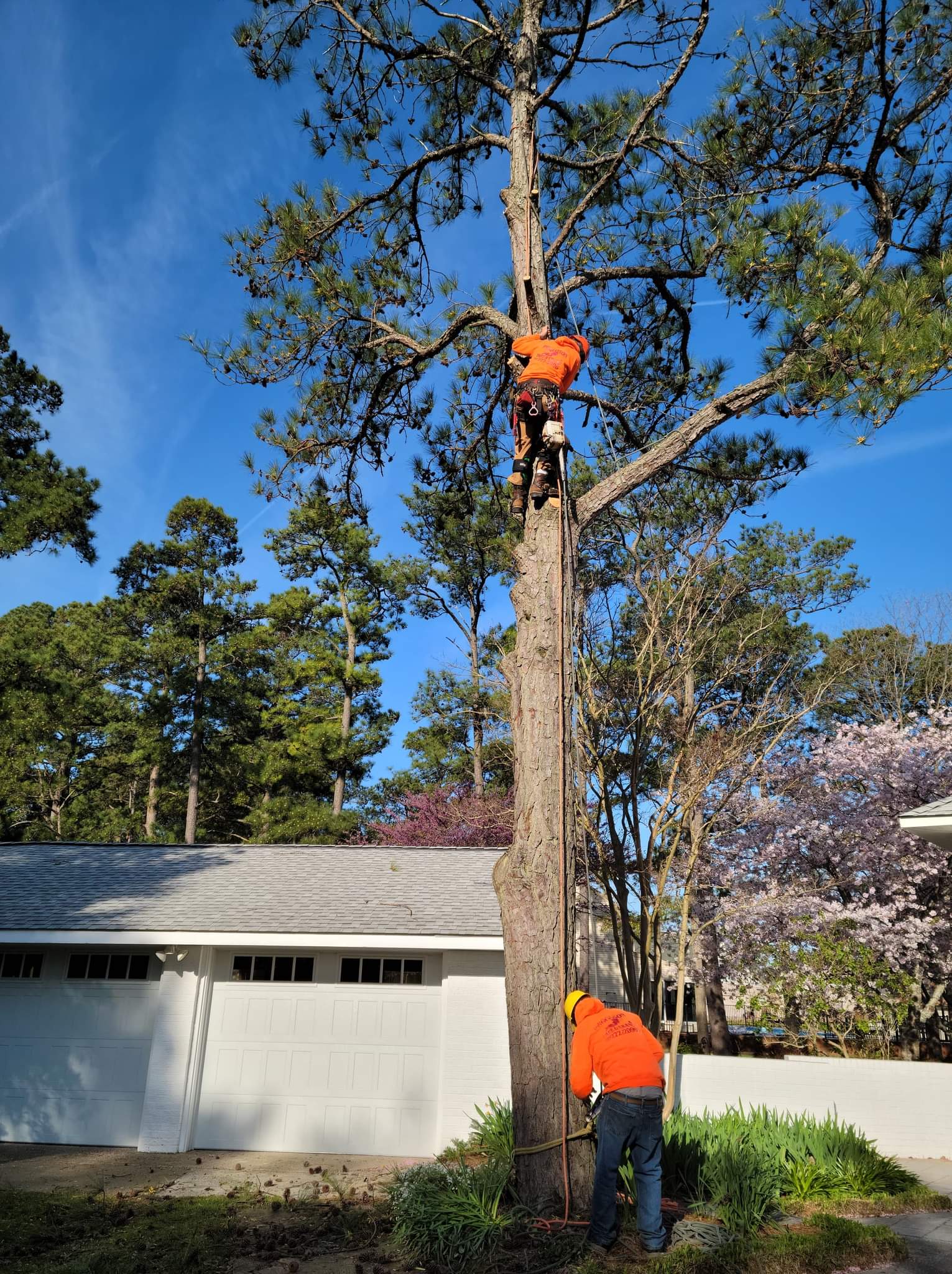 Poquoson Tree and Crane Service